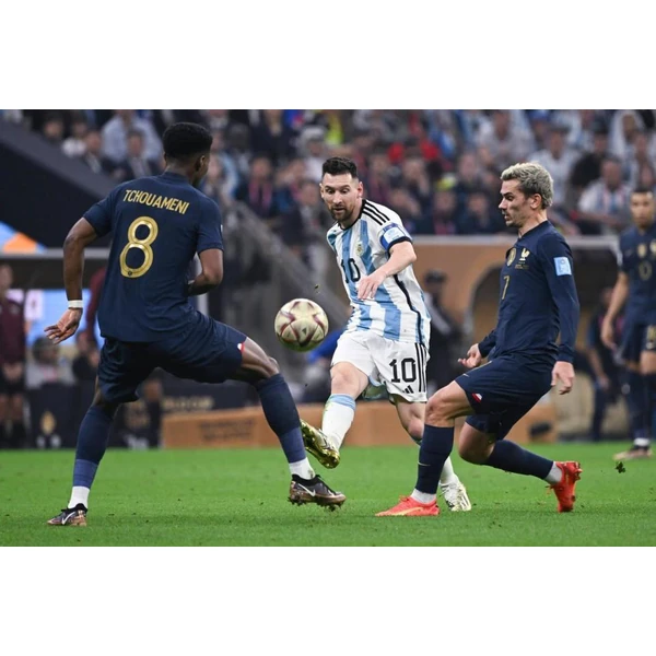 do-mksports.com.cn APP 界面